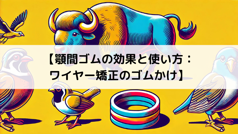 顎間ゴムの効果と使い方：ワイヤー矯正のゴムかけ