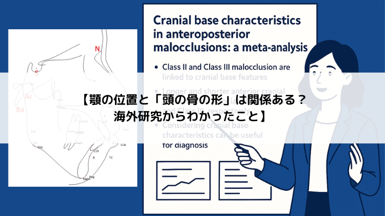 【顎の位置と「頭の骨の形」は関係ある？海外研究からわかったこと】